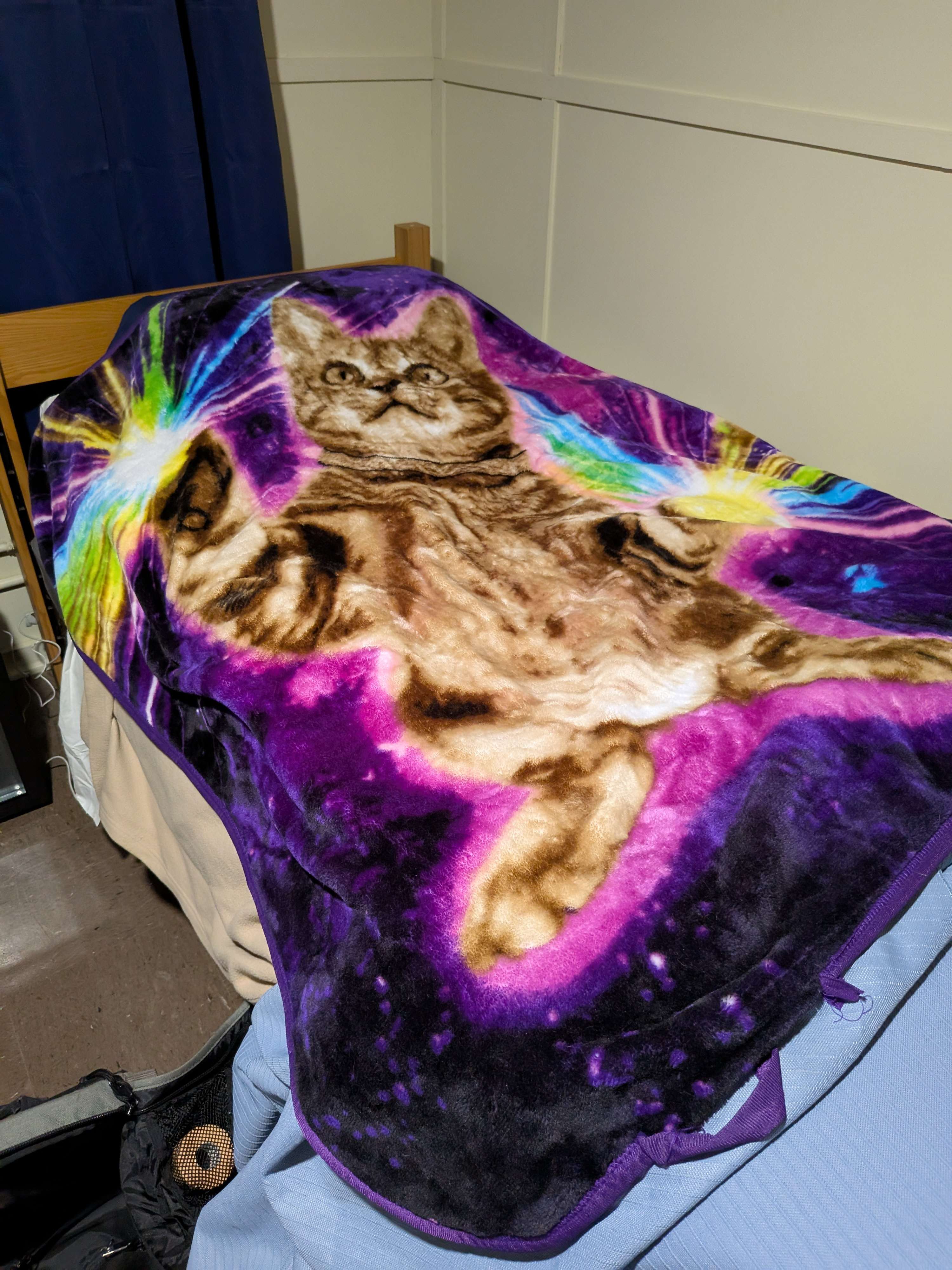 Laser Cat